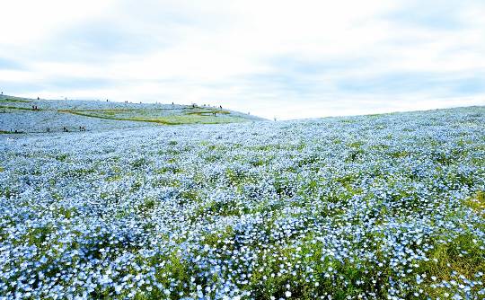 マスク同窓会詰め所兼ニューフェイス歓迎所46ヽ⁠(⁠*ﾟ⁠ｰﾟ⁠*⁠)