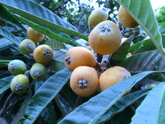 ★ドンキ♡♡ロピア雑談118★