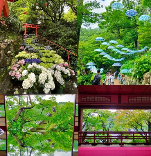 ★ドンキ♡♡ロピア雑談118★