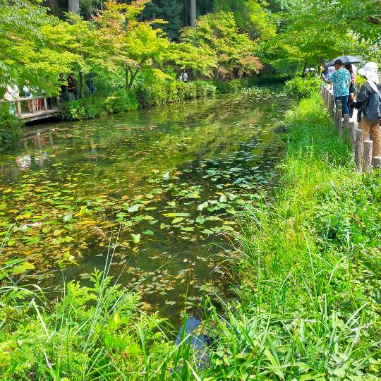 ★ドンキ♡♡ロピア雑談117★