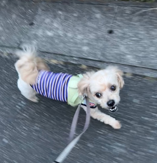 生き物ルーム75