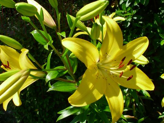 ★ドンキ♡♡ロピア雑談118★