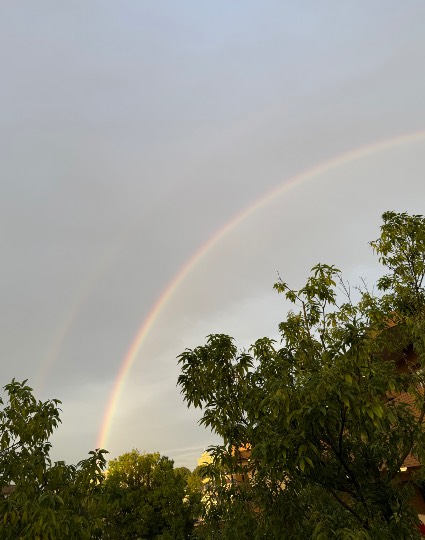 雑談お絵描き部・コラージュ部・素材提供部 No.20