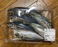 6月19日(木曜日) 　東近江倉庫店｜給油ついでに中に入っちゃいましたぁ
...