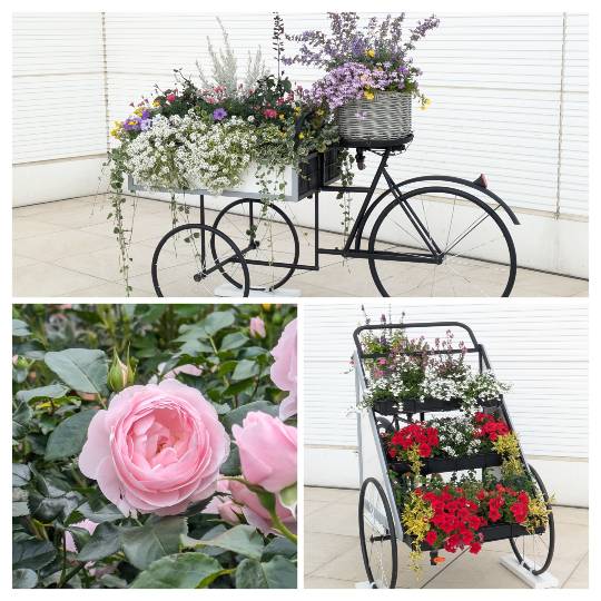 雑談お絵描き部・コラージュ部・素材提供部 No.20