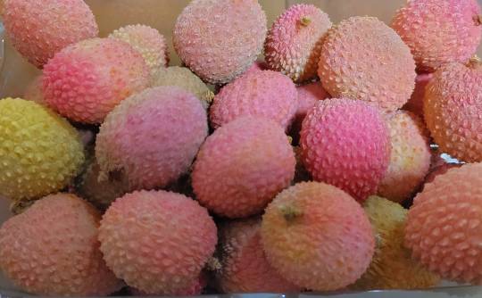 【妄想鼻血トピ】萌えドラマを語ろう会 29