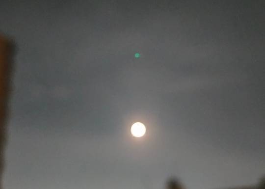 ★ドンキ♡♡ロピア雑談118★