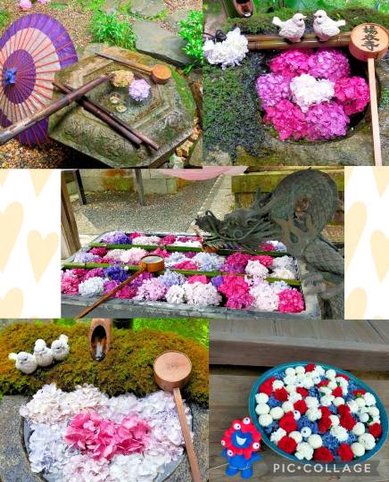 ★ドンキ♡♡ロピア雑談118★