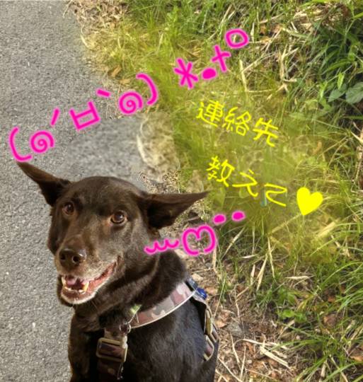 生き物ルーム75