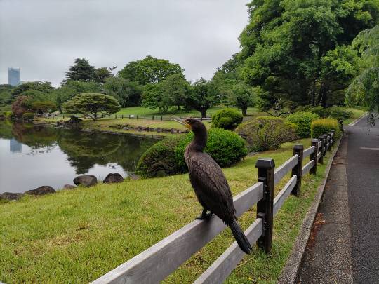 雑談お絵描き部・コラージュ部・素材提供部　No.20