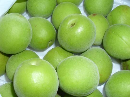 ★ドンキ♡♡ロピア雑談117★