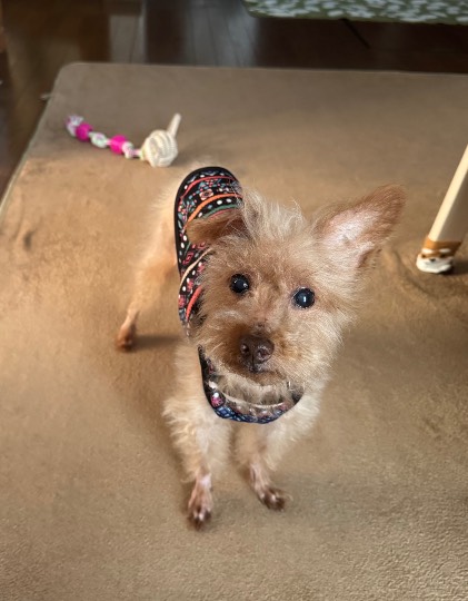 生き物ルーム75