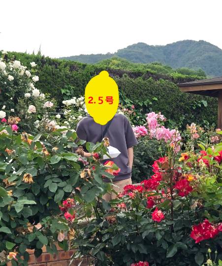 マスク同窓会詰め所兼ニューフェイス歓迎所46ヽ(*゚ー゚*)