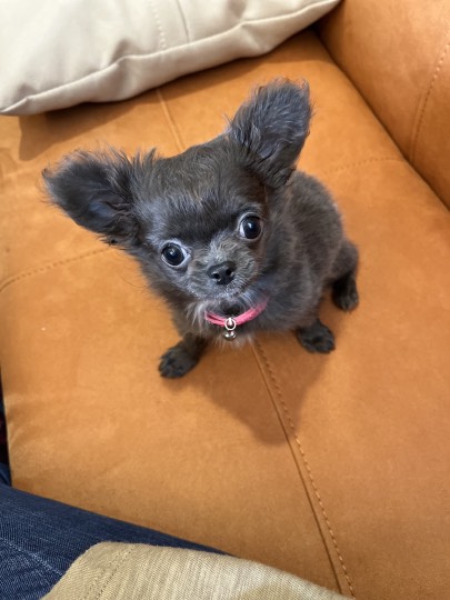 【スナックJINJIN】キッチンカー　いつか来た道　出張営業９