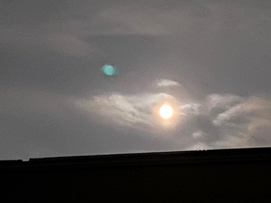 ★ドンキ♡♡ロピア雑談118★