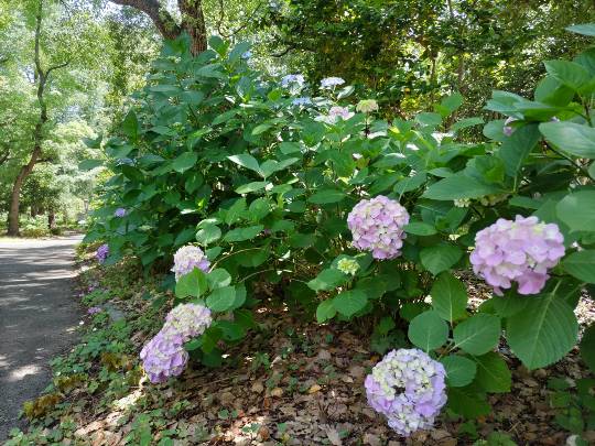 ★ドンキ♡♡ロピア雑談117★