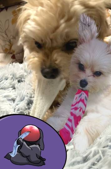 生き物ルーム75