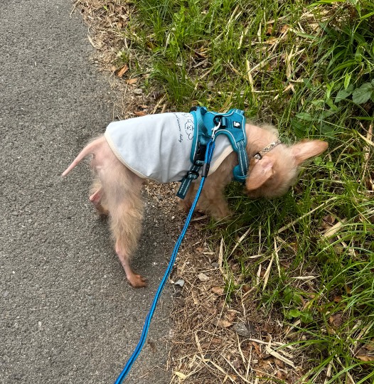 生き物ルーム75