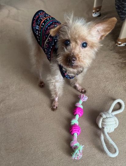 生き物ルーム75