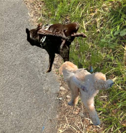 生き物ルーム75