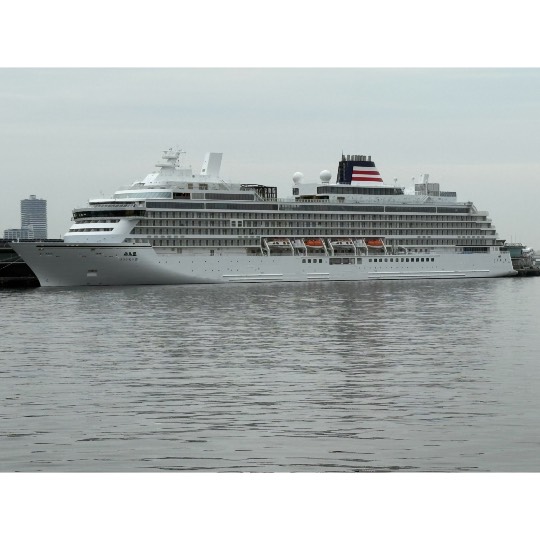 ★ドンキ♡♡ロピア雑談118★