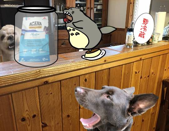 生き物ルーム75