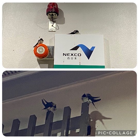 ★ドンキ♡♡ロピア雑談118★