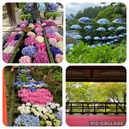 ★ドンキ♡♡ロピア雑談117★