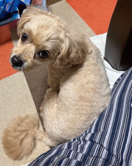 生き物ルーム75