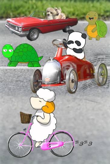 生き物ルーム75