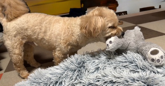 生き物ルーム75