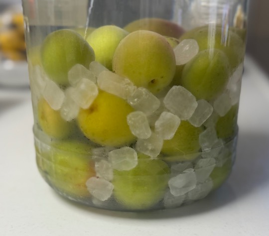 ★ドンキ♡♡ロピア雑談117★