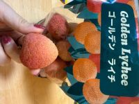 6月20日(金曜日) 　守山倉庫店｜今日は、西川の値引きありのマットレスあり...