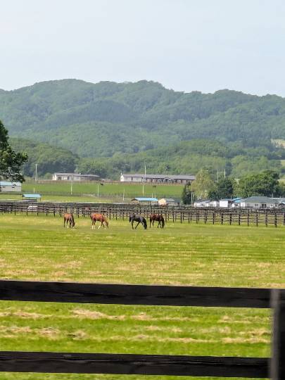 雑談お絵描き部・コラージュ部・素材提供部　No.20