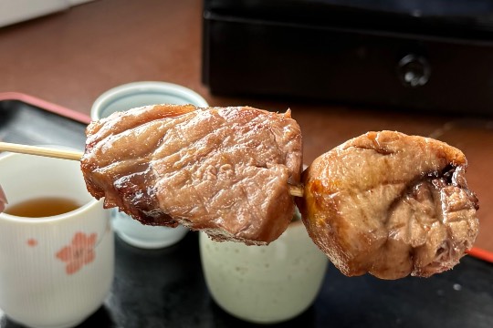 生き物ルーム75