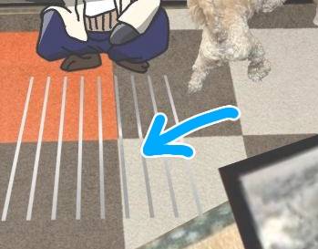 生き物ルーム75