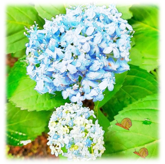 ★ドンキ♡♡ロピア雑談119★