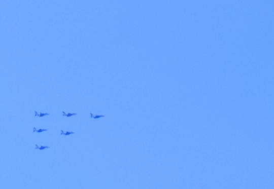 ◆15◆関西トピ