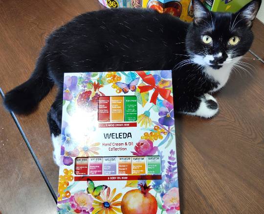 7月22日(火曜日) 　広島倉庫店｜今日は朝イチの三者懇談からのインコス～♪...