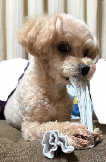 生き物ルーム75