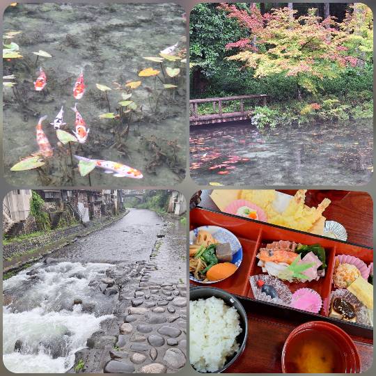 ★ドンキ♡♡ロピア雑談119★