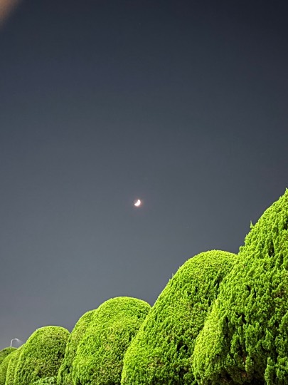 ★ドンキ♡♡ロピア雑談118★