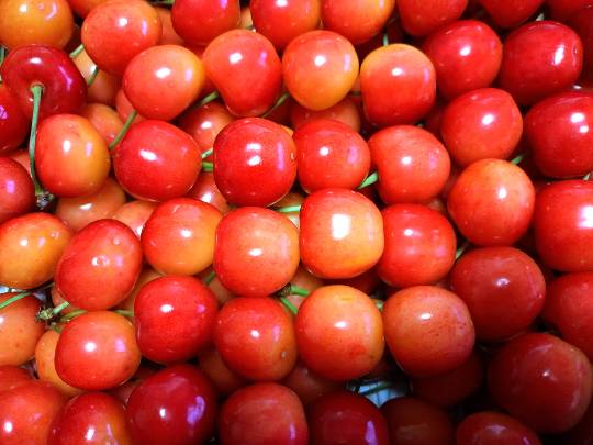 ★ドンキ♡♡ロピア雑談119★