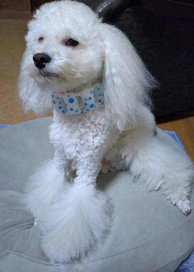 生き物ルーム75