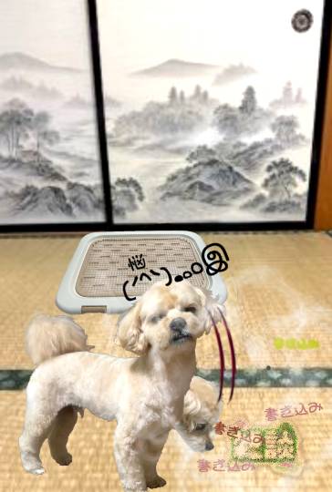 生き物ルーム75