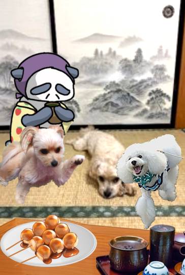 生き物ルーム75