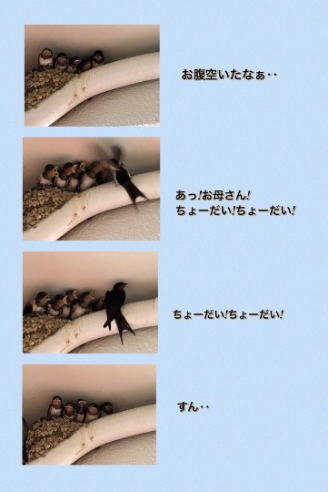 ★ドンキ♡♡ロピア雑談119★