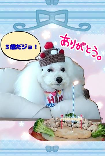 生き物ルーム75