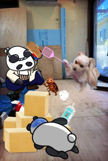 生き物ルーム75