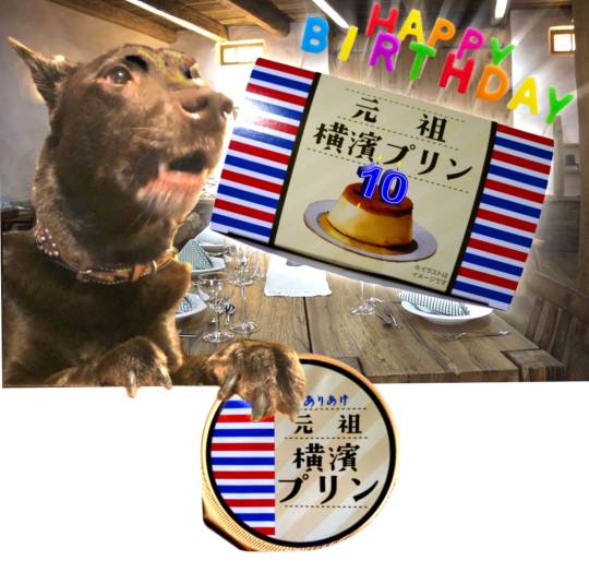 生き物ルーム75